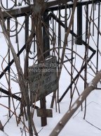 Николаева Елизавета Федоровна